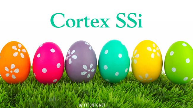 Cortex SSi example